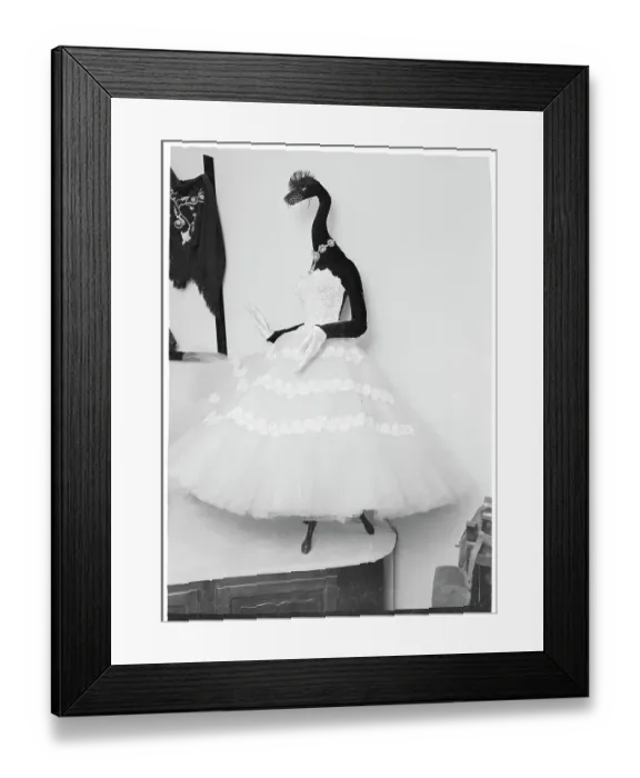 Framed Print : Animal Head Mannequin in Evening Dress Framed Print : Animal Head Mannequin in Evening Dress