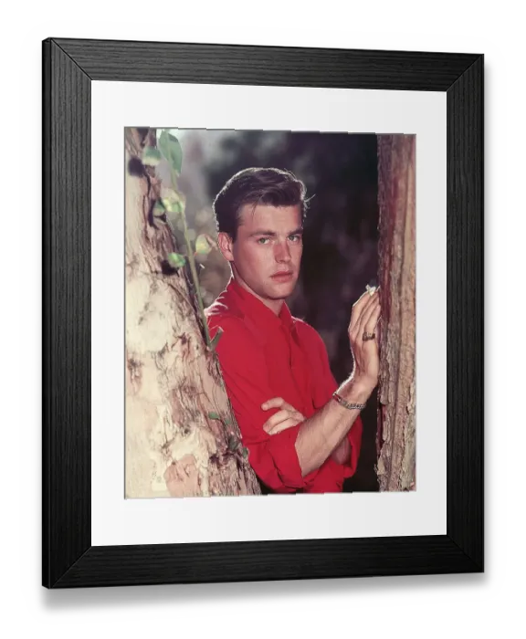 Framed Print : Robert Wagner Smoking Beside Tree Framed Print : Robert Wagner Smoking Beside Tree