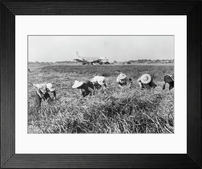 Framed Print : Farmers Working in Their Field