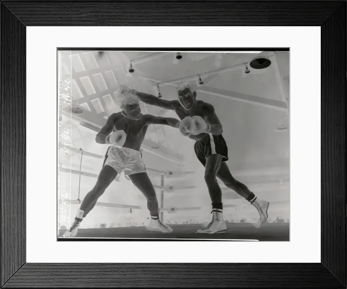 Framed Print : Boxers in Action With High Drive Moves Framed Print : Boxers in Action With High Drive Moves