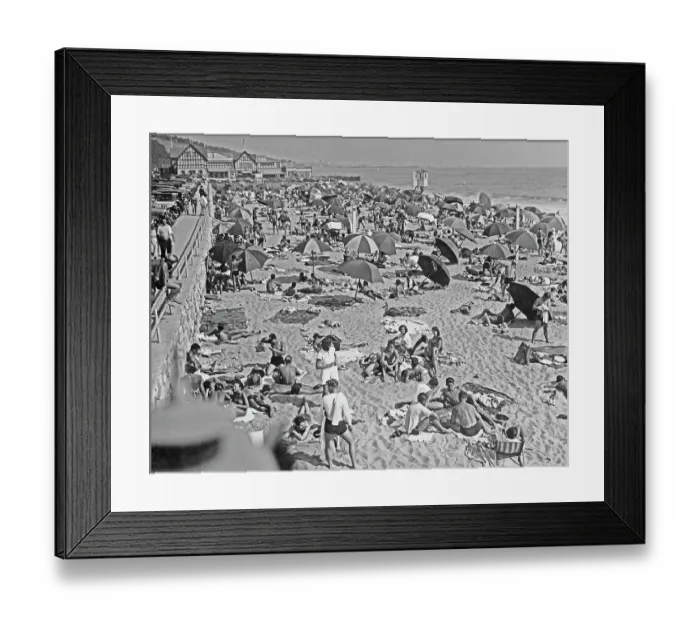 Framed Print : Sunsoaked In Santa Monica