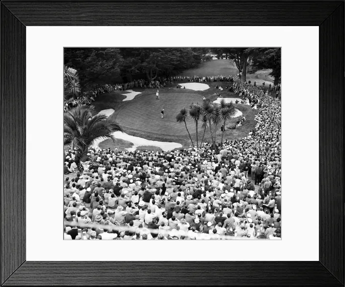 Framed Print : Ben Hogan Putting on Fairway Framed Print : Ben Hogan Putting on Fairway
