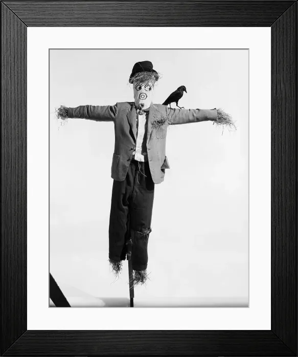 Framed Print : Scarecrow with Crow on His Shoulder Framed Print : Scarecrow with Crow on His Shoulder