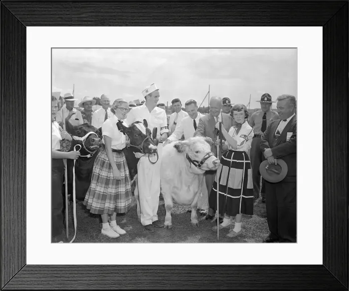 Framed Print : President Eisenhower Looking Over Animals