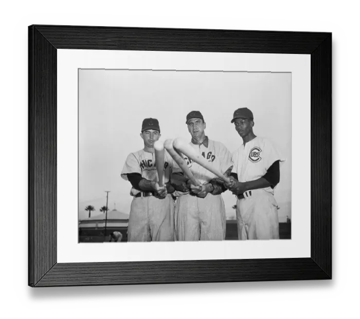 Framed Print : Three Chicago Cubs Holding Bats Framed Print : Three Chicago Cubs Holding Bats