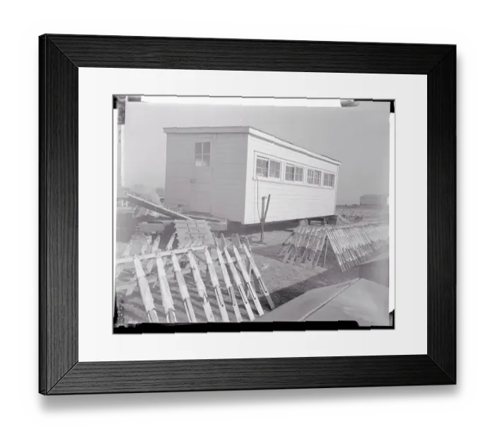 Framed Print : Mink Skins Lying on Drying Racks Framed Print : Mink Skins Lying on Drying Racks