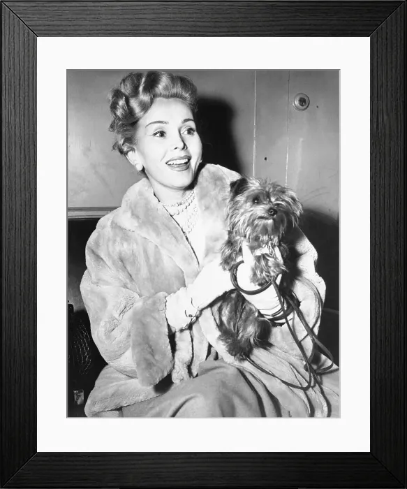 Framed Print : Zsa Zsa Gabor Posing With Her Dog Framed Print : Zsa Zsa Gabor Posing With Her Dog