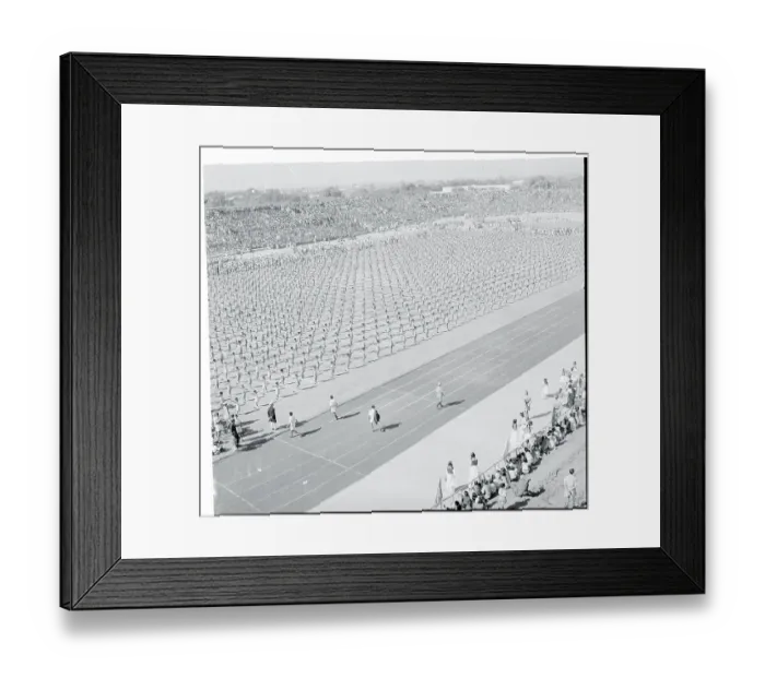 Framed Print : View of Celebration Framed Print : View of Celebration