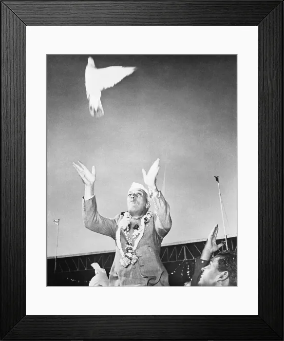 Framed Print : Pandit Nehru Releasing a White Pigeon Framed Print : Pandit Nehru Releasing a White Pigeon