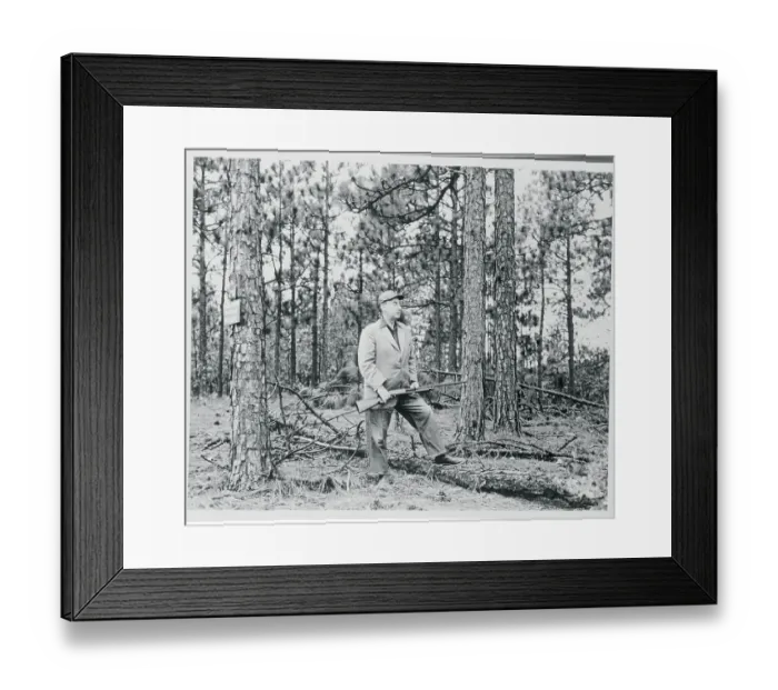 Framed Print : Adlai Stevenson Standing and Holding Rifle in Wooded Area Framed Print : Adlai Stevenson Standing and Holding Rifle in Wooded Area