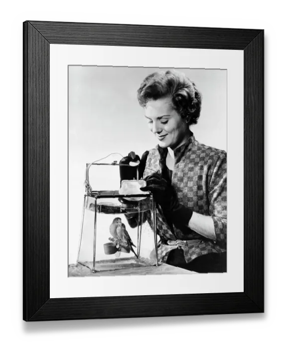 Framed Print : Woman With Parakeet In Clear Handbag Framed Print : Woman With Parakeet In Clear Handbag