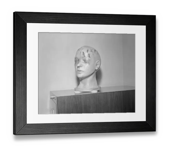 Framed Print : Model Head Framed Print : Model Head