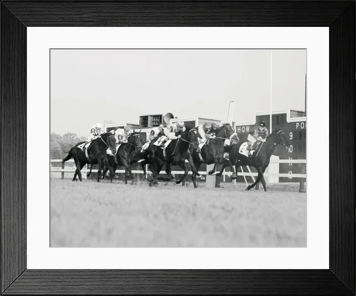 Framed Print : Horses Racing Framed Print : Horses Racing