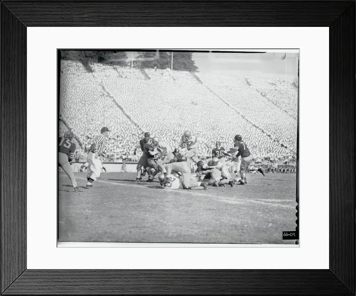 Framed Print : Davenport Rambles Over Bears Framed Print : Davenport Rambles Over Bears
