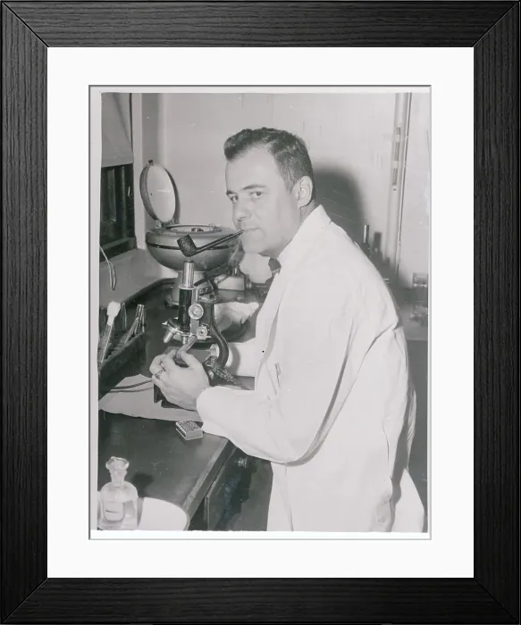 Framed Print : Fred C. Robbins in Laboratory Framed Print : Fred C. Robbins in Laboratory