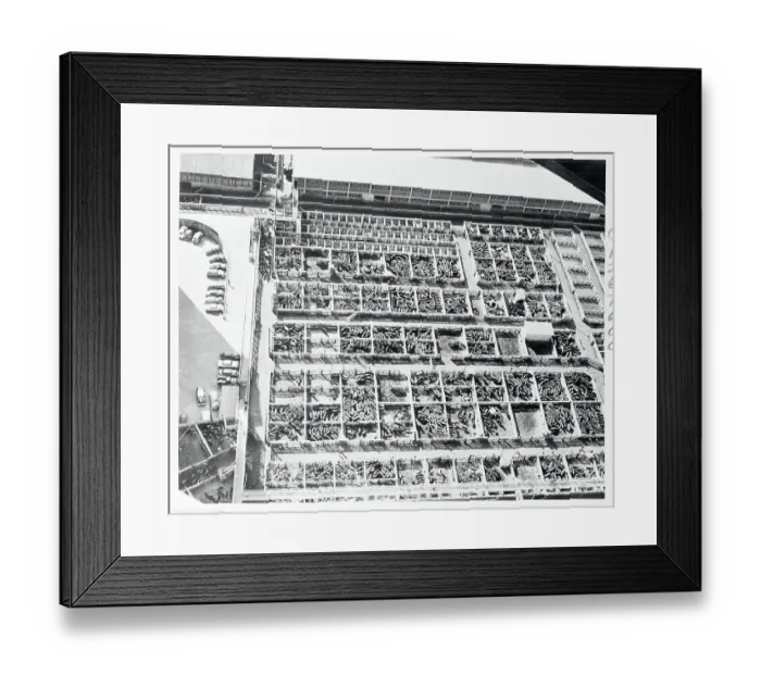 Framed Print : Aerial View of Livestock Yards Framed Print : Aerial View of Livestock Yards