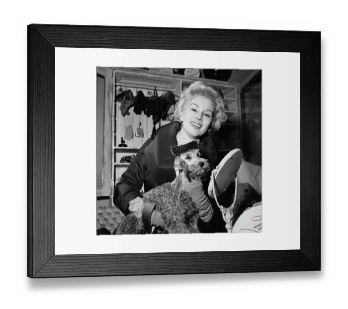 Framed Print : Fascinator for a Dog Framed Print : Fascinator for a Dog
