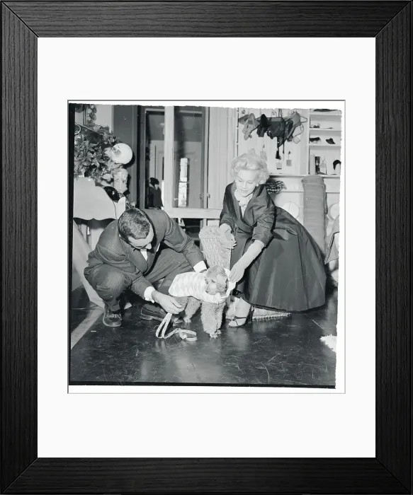 Framed Print : Eva Gabor and Her Dog in Canine Couturier Framed Print : Eva Gabor and Her Dog in Canine Couturier