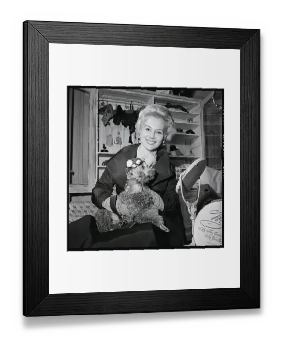Framed Print : Woman Holds Dog In Designer Outfit Framed Print : Woman Holds Dog In Designer Outfit