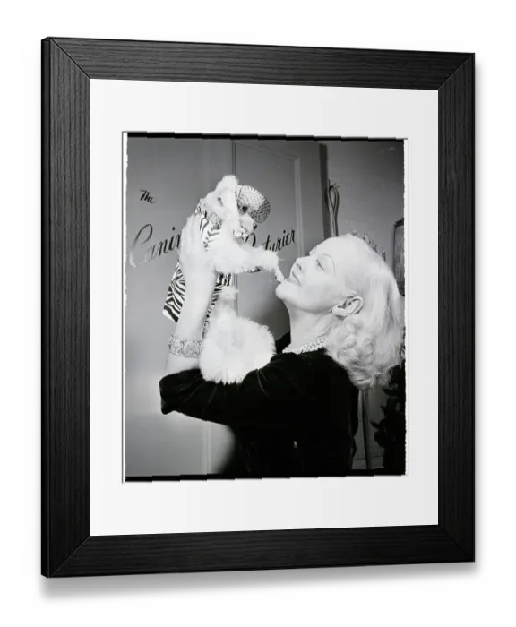 Framed Print : Woman Admires Poodle In Designer Suit Framed Print : Woman Admires Poodle In Designer Suit