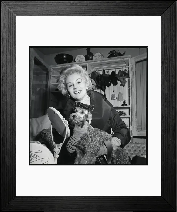 Framed Print : Woman Holding Dog Wearing Designer Suit