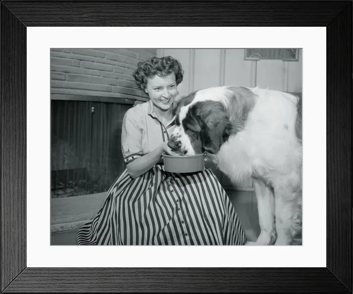 Framed Print : Betty White Feeding Her Dog Framed Print : Betty White Feeding Her Dog