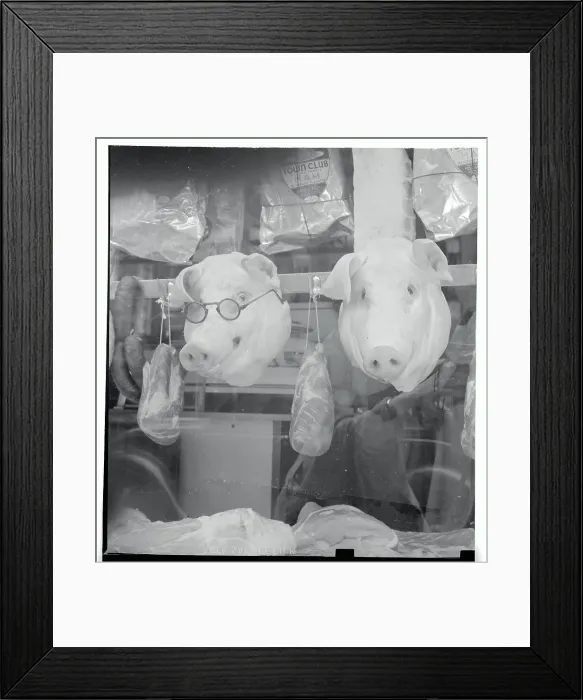 Framed Print : Pig Heads Hanging in Butcher Shop Framed Print : Pig Heads Hanging in Butcher Shop