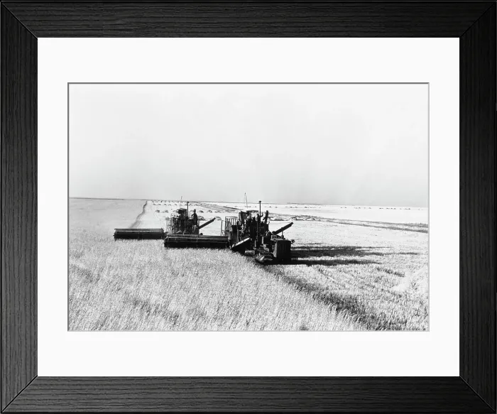 Framed Print : Harvesters in Wheat Field Framed Print : Harvesters in Wheat Field