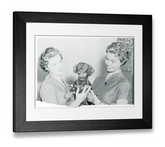 Framed Print : Princesses Margaretha and Birgitta Holding a Puppy Framed Print : Princesses Margaretha and Birgitta Holding a Puppy