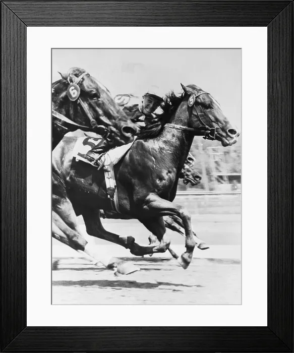 Framed Print : Horses Competing in Race Framed Print : Horses Competing in Race