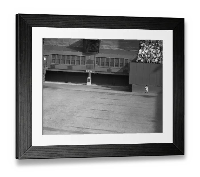 Framed Print : Willie Mays catching Line Drive Framed Print : Willie Mays catching Line Drive