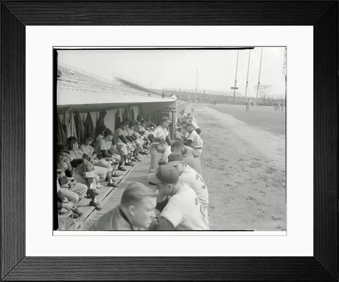 Framed Print : Crowed View of Visitors Dugout Framed Print : Crowed View of Visitors Dugout