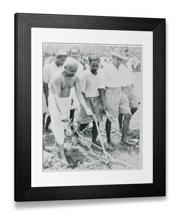 Framed Print : Oliver Goonetilleke Ploughing a Field Framed Print : Oliver Goonetilleke Ploughing a Field