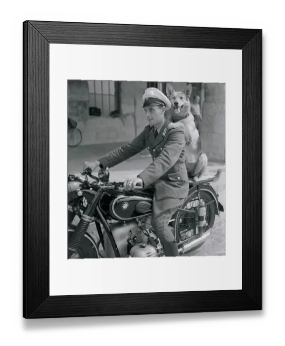 Framed Print : Policeman and His Dog Riding Together on a Motorcycle