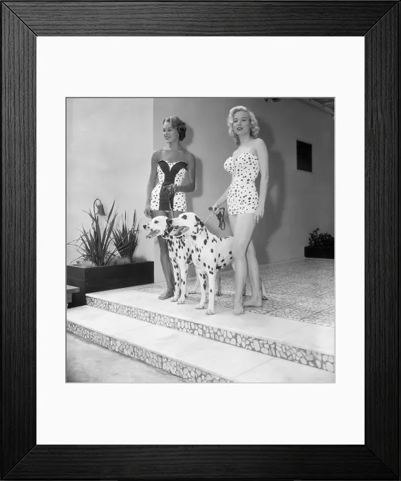 Framed Print : Women Modeling Spotted Bathing Suits with Dalmatians