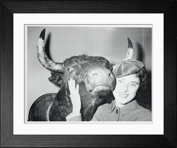 Framed Print : Sloan Simpson Posing with a Bull's Head