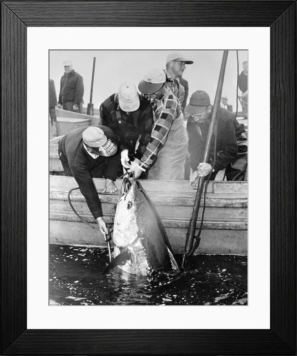 Framed Print : Don Henley Catching a Fish