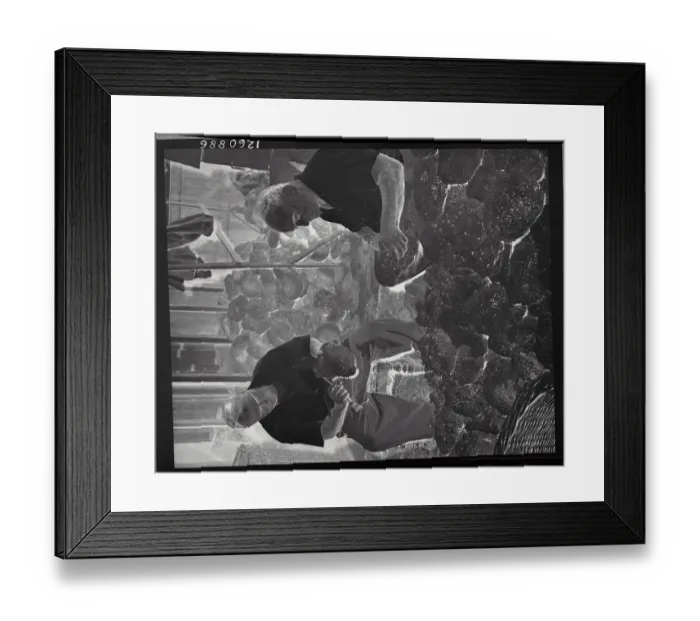 Framed Print : Divers Cleaning Sponges Framed Print : Divers Cleaning Sponges