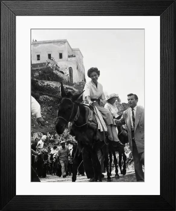 Framed Print : Queen on Informal Mount Framed Print : Queen on Informal Mount
