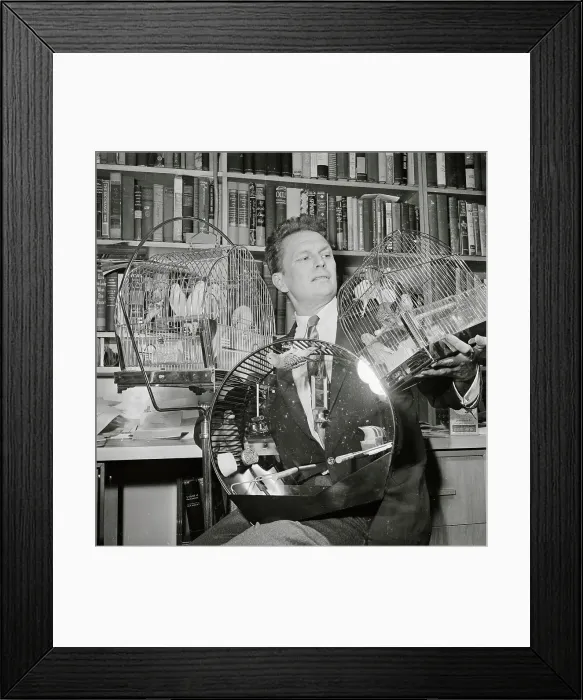 Framed Print : Portrait of Cleveland Amory and His Parakeets Framed Print : Portrait of Cleveland Amory and His Parakeets