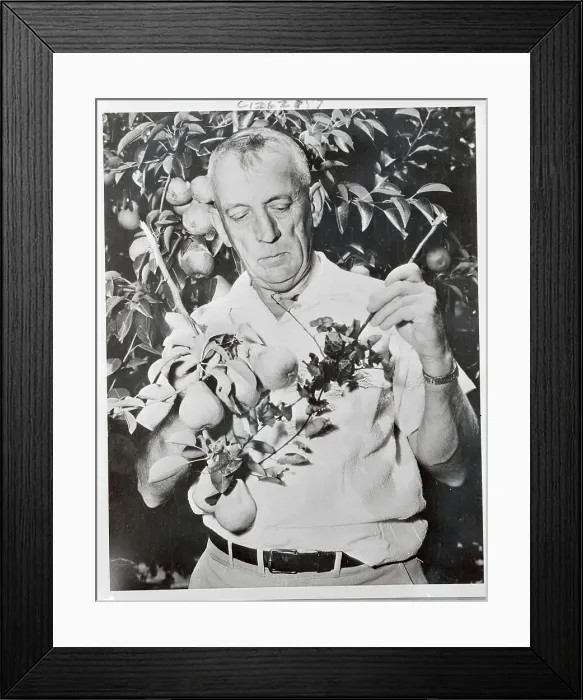 Framed Print : John C. Dunegan with Plants Framed Print : John C. Dunegan with Plants