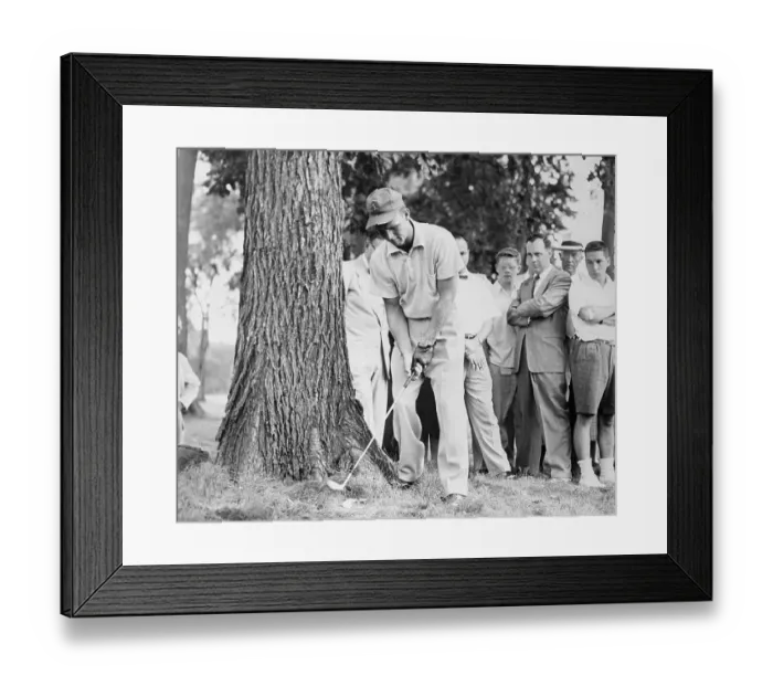 Framed Print : Arnold Palmer Shooting Beneath Tree Framed Print : Arnold Palmer Shooting Beneath Tree