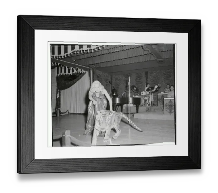 Framed Print : Marilyn Maxwell Posing with Her Tiger Framed Print : Marilyn Maxwell Posing with Her Tiger