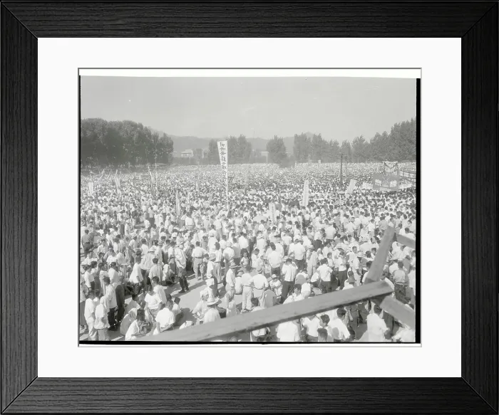 Framed Print : Korean Protesters Framed Print : Korean Protesters