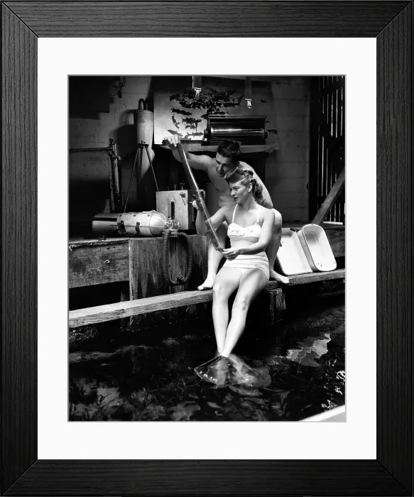 Framed Print : Submarine Shutterbugs Framed Print : Submarine Shutterbugs