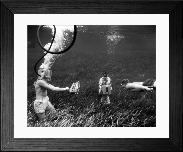 Framed Print : Submarine Shutterbugs Framed Print : Submarine Shutterbugs
