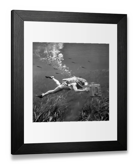 Framed Print : Submarine Shutterbugs Framed Print : Submarine Shutterbugs