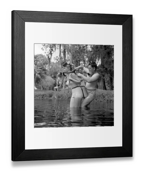 Framed Print : Submarine Shutterbugs Framed Print : Submarine Shutterbugs