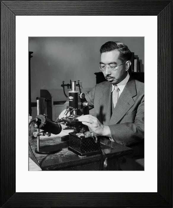 Framed Print : Emperor Hirohito Putting Slide Under Microscope Framed Print : Emperor Hirohito Putting Slide Under Microscope