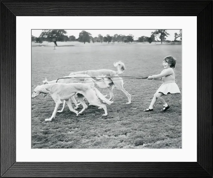 Framed Print : Girl Walking Her Dogs Framed Print : Girl Walking Her Dogs